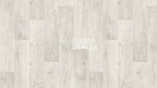 Линолеум Tarkett Discovery RIGARD 1 фото 1 | FLOORDEALER